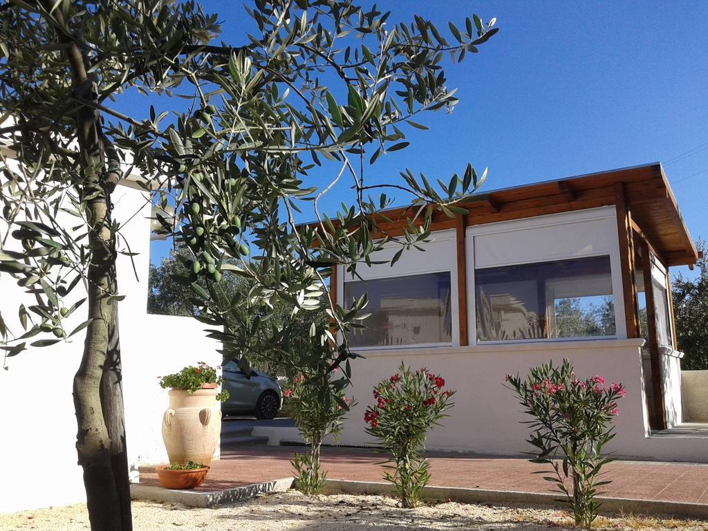Il Giunco B&B Vieste Exterior photo