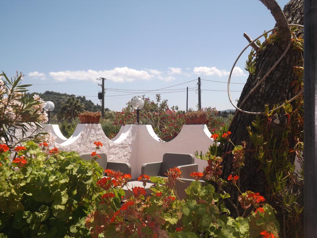 Il Giunco B&B Vieste Exterior photo