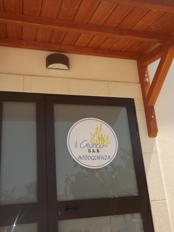 Il Giunco B&B Vieste Exterior photo